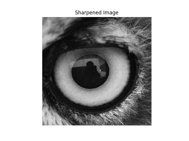 Owl Sharpened Image