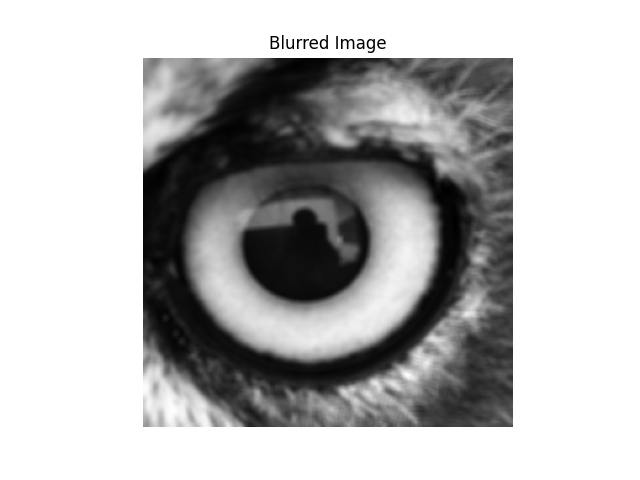 Owl Blurred Image